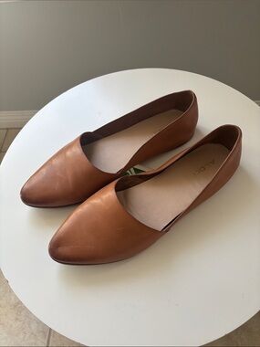 Aldo Women's Brown Pointed toe Flats